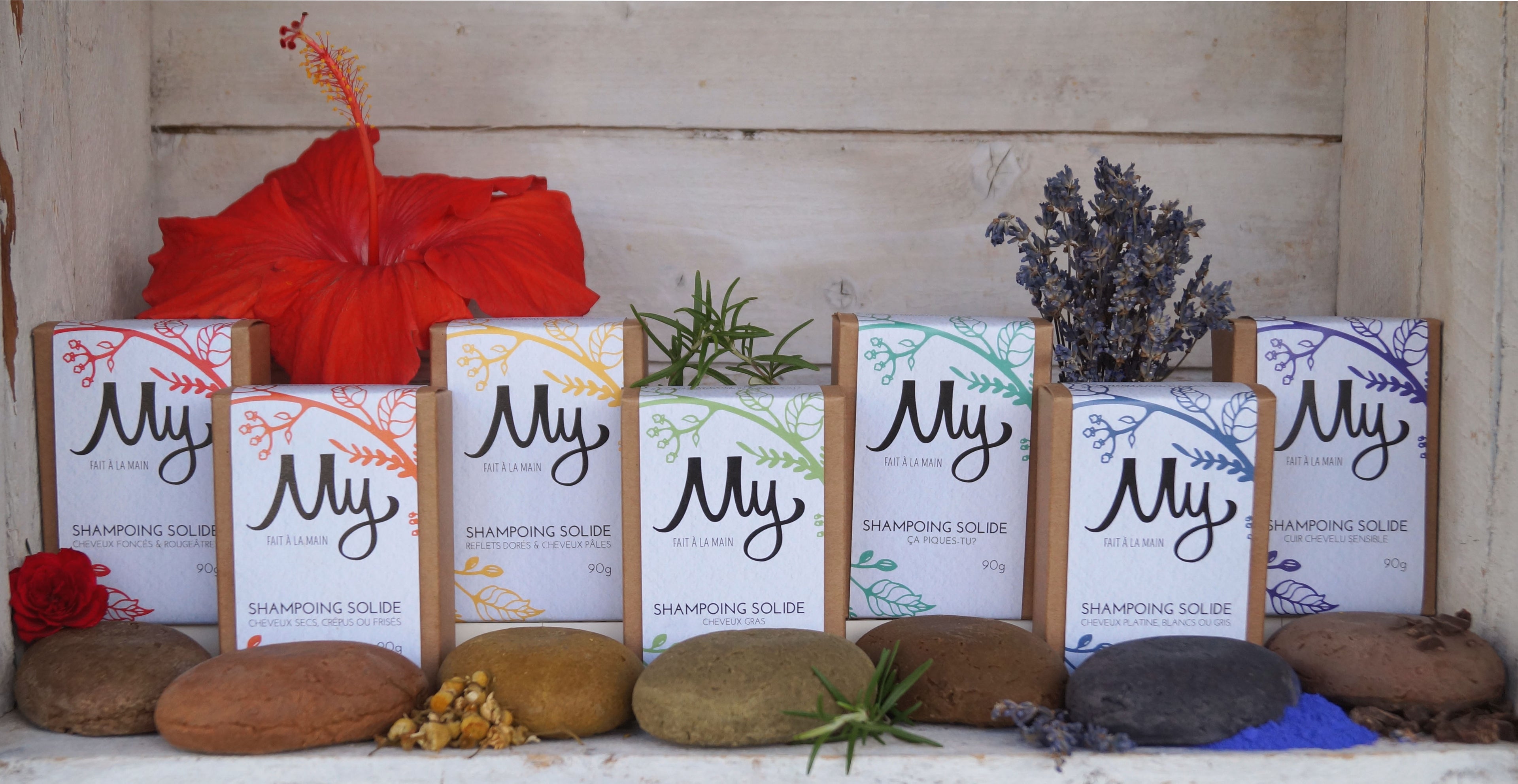 Shampoings solides spécialisés